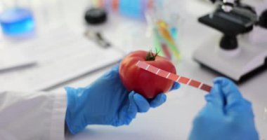 Bilim adamı domatesleri laboratuvarda inceler ve inceler. Domatesin rengini ölçmek için renk ölçer kullanılıyor