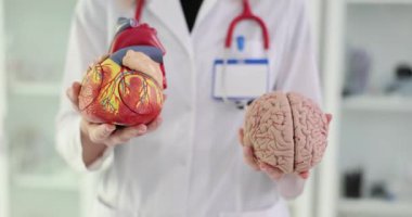 Doktor insan kalbi ve beynini tutuyor. Beyin fonksiyonları ve aritmi arasındaki ilişki