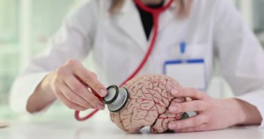 Doktor beyin modelinde steteskop kullanıyor. Sistemlerin ve kafa organlarının incelenmesi