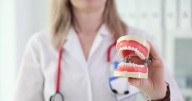 İnsan dişlerinin ve baş parmaklarının anatomik modeli. Yüksek kaliteli diş tedavisi ve iyi kaplama kurulumu tavsiyesi