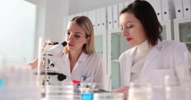 Bilim adamı laboratuvar asistanı mikroskoba bakar ve meslektaşına onay verir. Kimyagerler numunelerle başarılı bir deney yürütüyorlar.