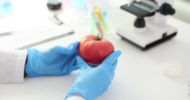 Laboratuvarda kırmızı sulu domates tutan bilim adamı. Domates kalitesi analizi ve bilimsel yaklaşım