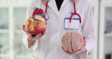 İnsan kalbi ve beyninin tıbbi anatomisi. Beynin vasküler patolojisinde kalp hastalığının tedavisi