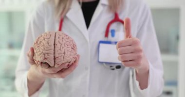 İnsan beyni modeli ve onaylandı. Beyin hastalıkları ve önerilen başarılı tedaviler