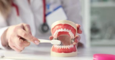 Diş hekimi diş fırçasıyla dişlerini nasıl fırçalayacağını gösteriyor. Ağız temizliği.