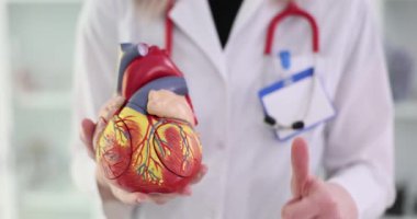 Kardiyolog kalp anatomisini elinde tutuyor ve onaylıyor. Kalp hastalıkları için tavsiye edilen başarılı bir tedavi