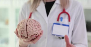 İnsan beyni modeli ve onaylandı. Doktor onaylı beyin tedavisi öneriyor.