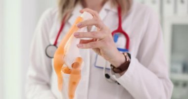 Doktor, insan diz ekleminin yapay modelinde bağ ve kaslarını gösteriyor. Travmatik eklem yaralanması.