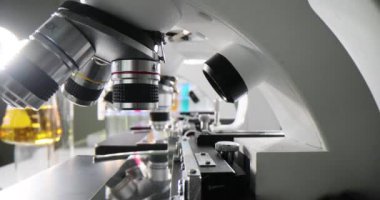 Araştırma için modern mikroskoplarla donatılmış laboratuvar. Yüksek çözünürlük ve hassasiyet bilim adamlarına biyolojik örnekleri gözlemleme olanağı sağlıyor