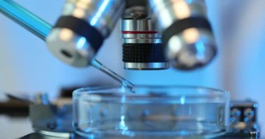 Bilim adamı cam pipetle petri kabına sıvı numune damlatıyor. Laboratuvar çalışanı modern mikroskop ile örnek incelemesi için hazırlanıyor.