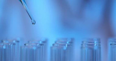 Bilim adamı cam pipetin yavaş çekimini kullanarak dikkatle rafta duran tüplere reaktör bırakıyor. Laboratuvar çalışanı daha detaylı inceleme için örnekler hazırlar.