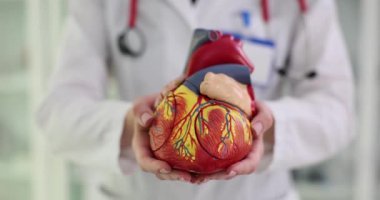 Kadın kardiyolog klinikteki hastaya kalp modelini gösterdi. Üniformalı doktor kalp hastalığının net açıklaması için görselleştirme kullanıyor.