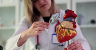 Kadın doktor kalp modelini klinikte büyüteç kullanarak inceliyor. Odaklanmış kardiyolog, bilimsel çalışmalar için ağır çekimde araştırma yürütüyor.