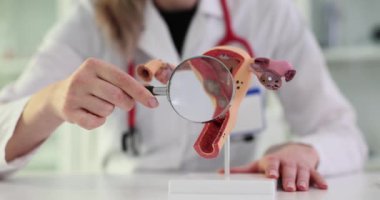 Jinekolog, üreme sisteminin yavaş çekim özelliklerini açıklayan büyüteç kullanıyor. Kadın doktor, öğrenciler için uterus modeli gösteriyor