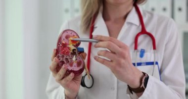 Doktor, hasta tedavisinin böbrek modeli üzerindeki etkisini açıklıyor. Kadın altta yatan durumu ele almak için böbrek fizyolojisinin belirli yönlerini hedef alıyor