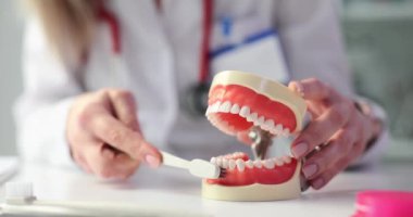 Dişçi randevu sırasında diş fırçalama tekniğini gösteriyor. Kadın hastanın anlamasını sağlar ve en uygun ağız hijyenini uygular.