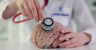 Doktor pozisyonları steteskop üzerinde yapay beyin modeli. Doktorlar yavaş çekimde düzenli beyin kontrollerinin gerekliliğini vurguluyor