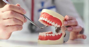 Doktor diş temizliğini değerlendirmek için diş aynası kullanıyor. Diş hekimi yapay dişleri hasar var mı diye incelemek için araç kullanır