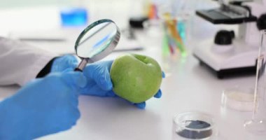 Biyoloji uzmanı, eldiven uzmanı. Laboratuvarda elmayı büyüteçle inceliyor. Bilim adamı biyoloji laboratuarındaki böcek ilaçlarını inceledi.