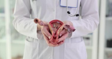 Doktor rahim modelini hastanede üreme sistemini açıklarken tutuyor. Üniformalı kadın jinekolog hastaya açık açıklamalar yapıyor.