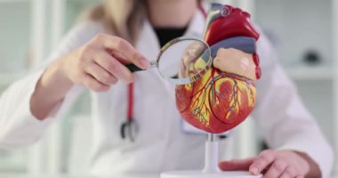 Doktor hastanede kalp modelini büyüteçle inceliyor. Üniformalı kadın kardiyolog öğrencilere kardiyovasküler sistemi açıklıyor