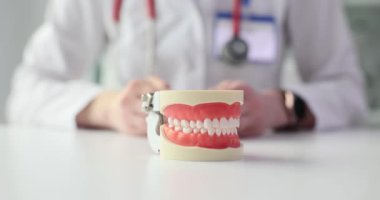 Klinikteki dişçiye karşı yapay çene modeli. Kadın doktor, düzenli kontrollerin faydalarını anlatan elleri ile modeli çevreledi