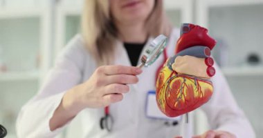 Büyüteçle kardiyolog kalbin yapısını inceliyor. Kardiyovasküler hastalıkların erken teşhisi