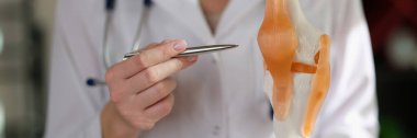 Kadın doktorun diz ve eklem yerlerinin insan anatomisi modelini gösterdiği yakın çekim. Dizkapağı ve bacak tendonları. Bilimsel insan iskeleti. Bilim, fiziksel, tıbbi konsept