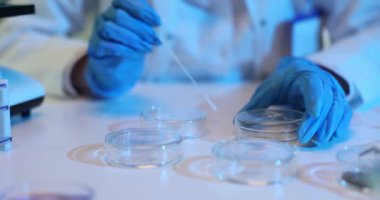 Laboratuar teknisyeni, pipetle numuneleri Petri kabına dikkatlice aktarıyor. Hassasiyete özellikle dikkat ediyor. Bilim adamı uygulamayı kullanarak petri kabına leke topluyor.