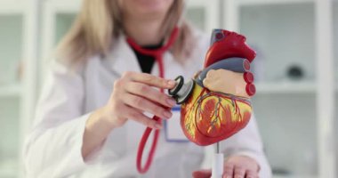 Tıbbi steteskop ve kalp sağlığı olan kırmızı kalp. Kardiyolog insan kalbinin anatomisini gösteriyor ve yapısını açıklıyor.