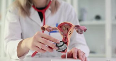 Jinekolog, jinekoloji kliniğinde kadınlara tıbbi bakım ve tedavi sağlamak için rahmin modelini steteskopla inceliyor.