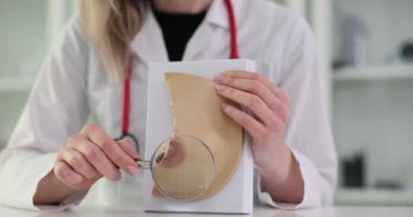 Mammolog jinekolog göğüs anatomisi modeli ve büyüteç tutuyor. Göğüs büyütme ameliyatı ve göğüs hastalıkları teşhisi