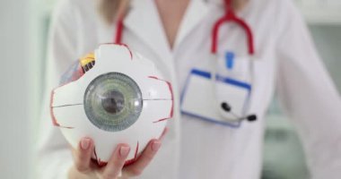 Oftalmolog klinikte bir göz ve çalar saat modeli tutuyor. Doktor, hastalara düzenli görüş kontrolü ve göz hastalıklarının önlenmesini öneriyor.