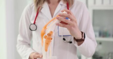 Diz anatomisini anlamak ve klinikte yaygın yaralanmalar. Travmatolog, diz eklemi modelinin bulunduğu bölgeye işaret etti.