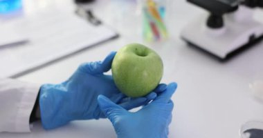 Bilimadamı laboratuvarda yeşil elma üzerinde çalışıyor. Genetik olarak değiştirilmiş elmalar