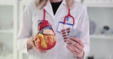 Kardiyolog kalp modelini ve kardiyovasküler sağlık için hapları tutuyor. Koroner kalp hastalığı semptomları ve tedavisi