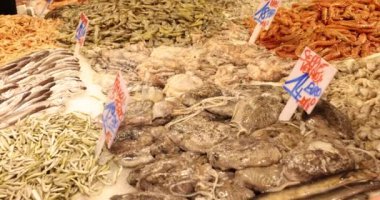 Markette taze deniz ürünleri sergisi. Karides. Karides ahtapot ve kalamar indirimde.