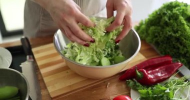 Kadın bir şef mutfakta taze lahana salatası karıştırıyor. Taze sağlıklı sebze salatası yapıyorum.