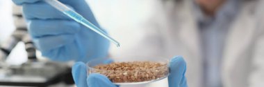 Lastik eldivenler içindeki konsantre bilim adamları petri kabını karabuğday taneleriyle dolduruyorlar. Genç adam laboratuardaki organik ürünleri reaksiyonlu pipetle inceliyor.