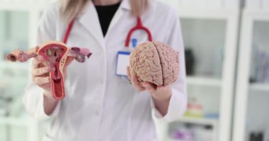 Doktor rahmin ve beynin anatomisini tutuyor. Kadınların üreme sistemi ve beyin anatomisi üzerine tıbbi koşullar ve rahmin düşünen kadınlar üzerindeki etkisi üzerine çalışmalar