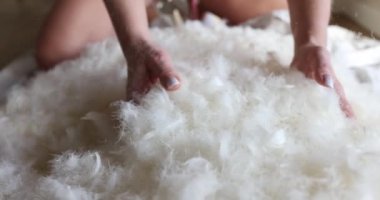 Yumuşak tüylü beyaz tüylerin yumuşacık dokuları rahatlatıcı bir tatil boyunca tadını çıkarır. Yastık dolguları
