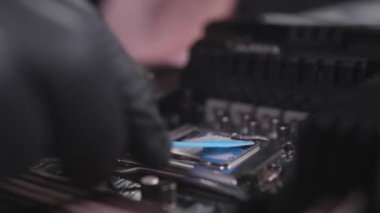 A computer engineer places thermal grease on the central processor of PC. He works in black gloves and uses a small plastic blade to make a layer thinner.