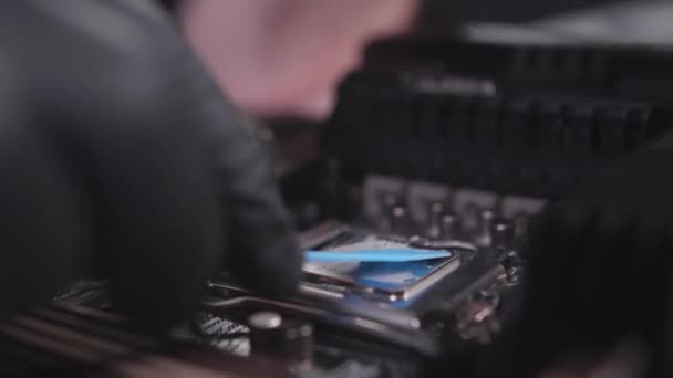 Компьютерный Инженер Помещает Термическую Смазку Центральный Процессор Работает Черных Перчатках — стоковое видео
