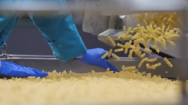 Quality Control Manager Werkt Moderne Pasta Fabriek Controleert Kwaliteit Van — Stockvideo