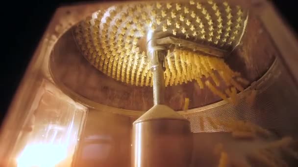 Близько Дивлячись Сучасний Механізм Обертовим Ножем Вирізає Сирі Спіральні Макарони — стокове відео