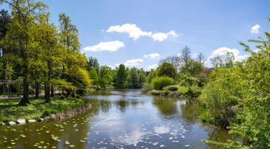  Kopenhag Üniversitesi Botanik Bahçesi, Kopenhag, Danimarka 