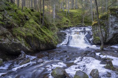 İsveç 'in Jonkoping ve Taberg Stream' in dışındaki Kış Ormanları 'nda Dondurucu Dondurucu Hassafell Şelalesi. İsveç nehirleri ve şelaleler doğada kış mevsimi rezervi.