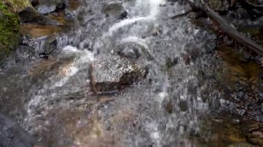 İsveç 'in Bakire Ormanı' ndaki Huzur Akımı: Sağlıklı Yaşam, Yoga, Stres Rahatlaması ve Uyku Videoları İçin Sakinleştirici Doğa Görüntüleri.