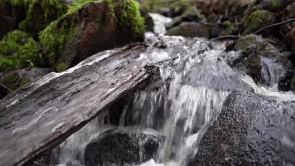 Ruhiger Fluss Unberührten Wäldern Schwedens Beruhigende Naturaufnahmen Für Wellness Yoga — Stockvideo