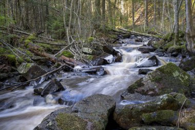 İsveç 'in Jonkoping ve Taberg Stream' in dışındaki Kış Ormanları 'nda Dondurucu Dondurucu Hassafell Şelalesi. İsveç nehirleri ve şelaleler doğada kış mevsimi rezervi.